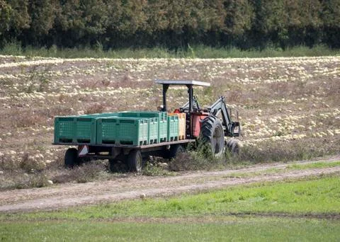 Tractor Harvest Stockfoto's