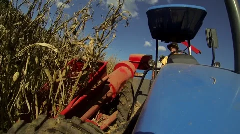 Tractor harvesting corn 库存影片 51214887
