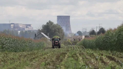 Tractor harvesting corn Stock Footage 145800360