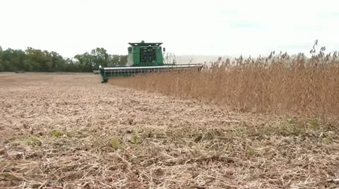 Tractor Harvesting Crop of Beans 스톡 동영상 12588112