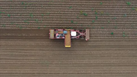Tractor harvesting a field from above Stock Photos