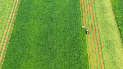 Tractor Harvesting in a Field Stock Footage