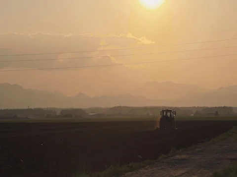 Tractor harvesting on field with sunset Stock Footage 106510310