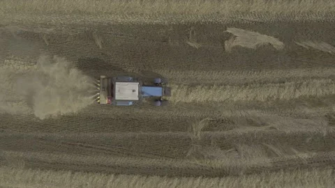 Tractor harvesting in fields with wheat Stock Footage 201445582