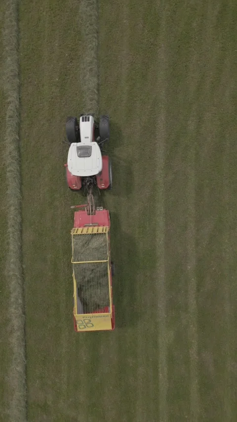 Tractor harvesting grass Stock Footage 295830208