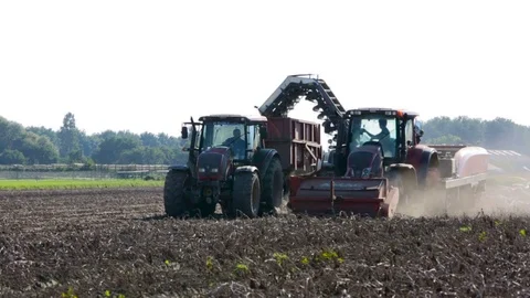 Tractor harvesting potatoes Stock Footage 82076815