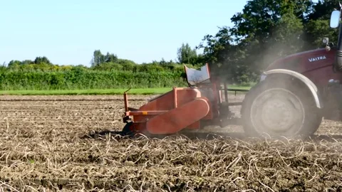 Tractor harvesting potatoes Stock Footage 82076943