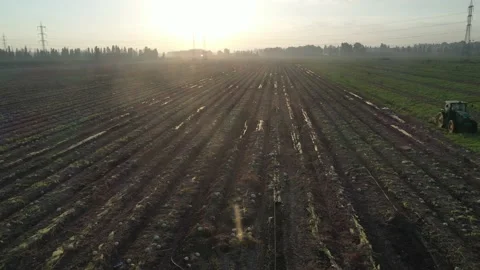 Tractor harvesting at sunset Stock Footage 166083957