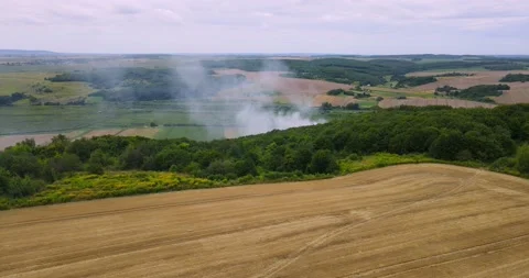 Tractor harvests wheat in the field Stock Footage 167482052