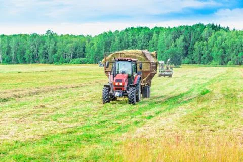 Tractor with a hay Foto stock