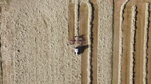 A tractor with a hay tedder in the meadows - Turns cut grass to dry for hay Stock-Footage 153779500