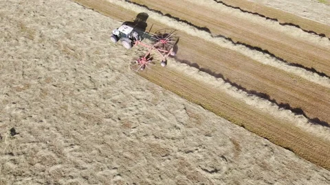 A tractor with a hay tedder in the meadows - Turns cut grass to dry for hay Видео 153834340