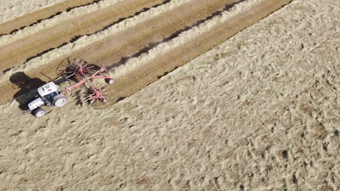 A tractor with a hay tedder in the meadows - Turns cut grass to dry for hay Stock Footage 153835498