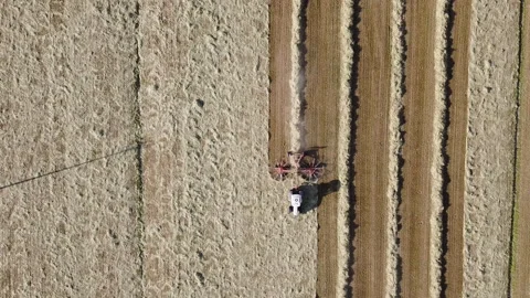 A tractor with a hay tedder in the meadows - Turns cut grass to dry for hay Видео 153854489