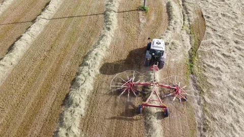 A tractor with a hay tedder in the meadows - Turns cut grass to dry for hay Vídeos de archivo 154064415