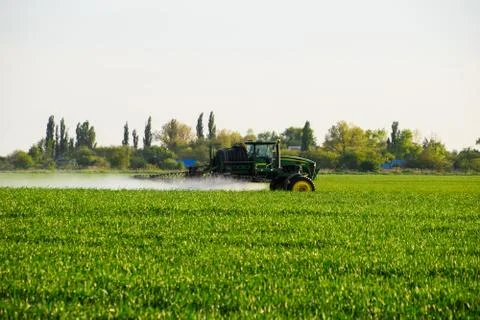 Tractor with the help of a sprayer sprays liquid fertilizers on young wheat i Foto stock