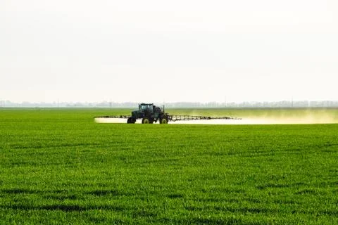Tractor with the help of a sprayer sprays liquid fertilizers on young wheat i Stock Photos