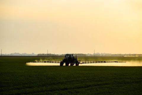 Tractor with the help of a sprayer sprays liquid fertilizers on young wheat i Foto stock
