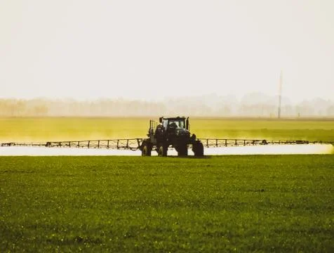 Tractor with the help of a sprayer sprays liquid fertilizers on young wheat i Foto stock