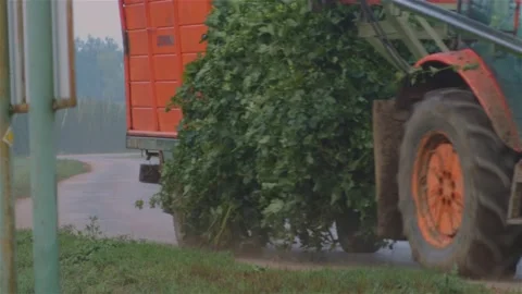 Tractor with hops in field 스톡 동영상 207590482