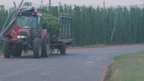 Tractor with hops 스톡 동영상 205385095