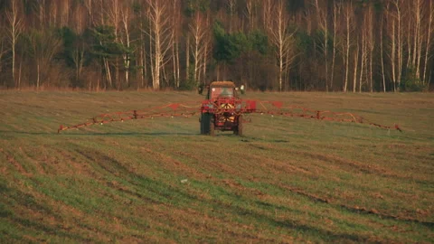 Tractor irrigates a field. Spraying wheat fields with pesticides. Protection Stock Footage 237264197