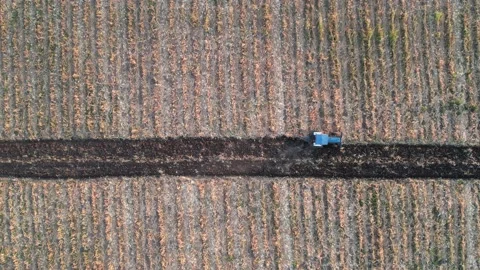 A tractor is laboring a field in Thailand Stock Footage 225204145