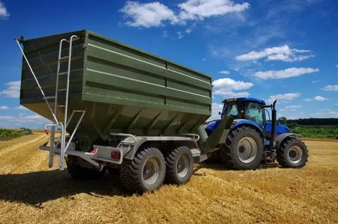Tractor with a large grain trailer during wheat harvesting Stock Photos