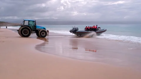 Tractor launching inflatable boat from Plettenberg Bay beach for marine safari Vídeos de archivo 339089245