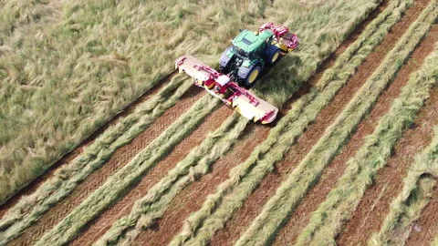 Tractor with lawn mower cuts the grass for hay Stock Footage 154518394
