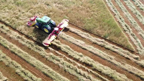 Tractor with lawn mower cuts the grass for hay Video stock 154518955