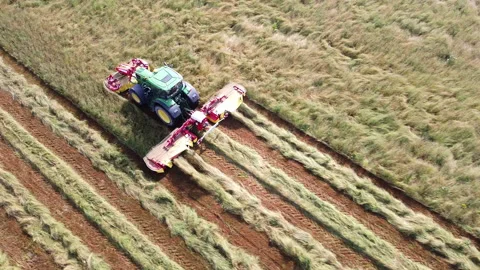 Tractor with lawn mower cuts the grass for hay Видео 154562293