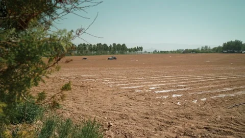 Tractor lays drip irrigation Stock Footage 327971872