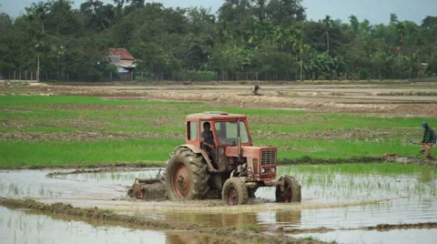 Tractor is leveling a ground with water slowly on the agricultural land of Stock Footage 67485514