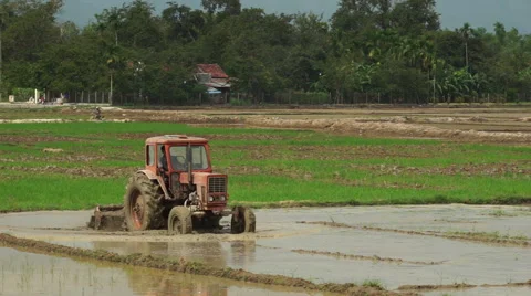 Tractor is leveling a ground with water slowly on the agricultural land in Stock Footage 67485539
