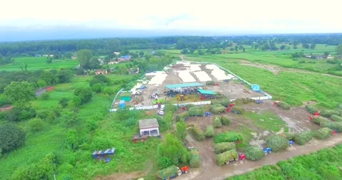 Tractor line forage crops silage making process drone shot Stock Footage 219322671