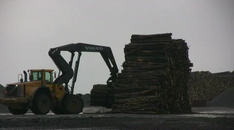 Tractor load timber Stock Footage 563285
