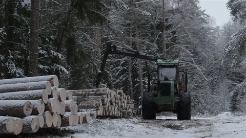 Tractor with loader Grapple unloads the logs in the forest Stock Footage 71844524