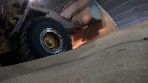 Tractor-loader loads brown sugar in storage silos Vidéo 131635520