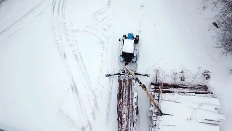 A tractor loader moves pine logs to a trailer in winter. Loading equipment for Stock Footage 101708191