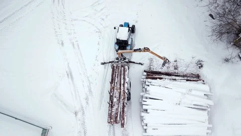 A tractor loader moves pine logs to a trailer in winter. Loading equipment for Stock Footage 101709067