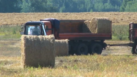 Tractor Loading Big Roll Harvested Straw. Work in the Field Video stock 62574381