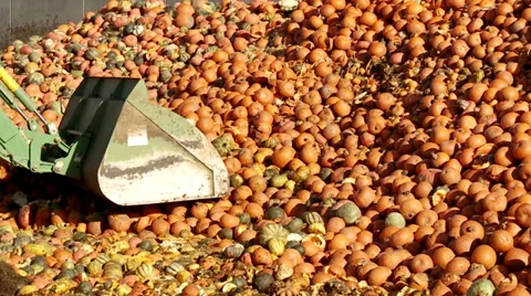Tractor loading Food Over Production Stock Footage 32815145