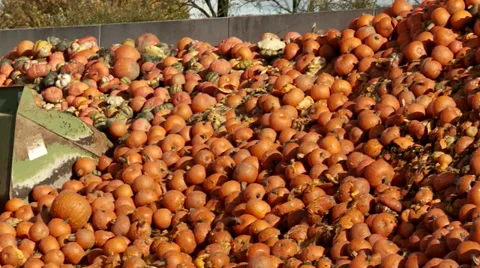 Tractor loading Food Over Production Stock Footage 32815152