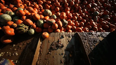 Tractor loading Food Over Production Stock Footage 32815277