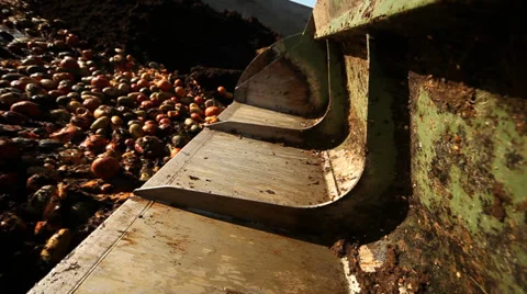Tractor loading Food Over Production Video stock 32845631