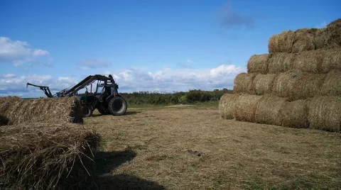 Tractor loading hay bales during agricultural works 库存影片 54648971