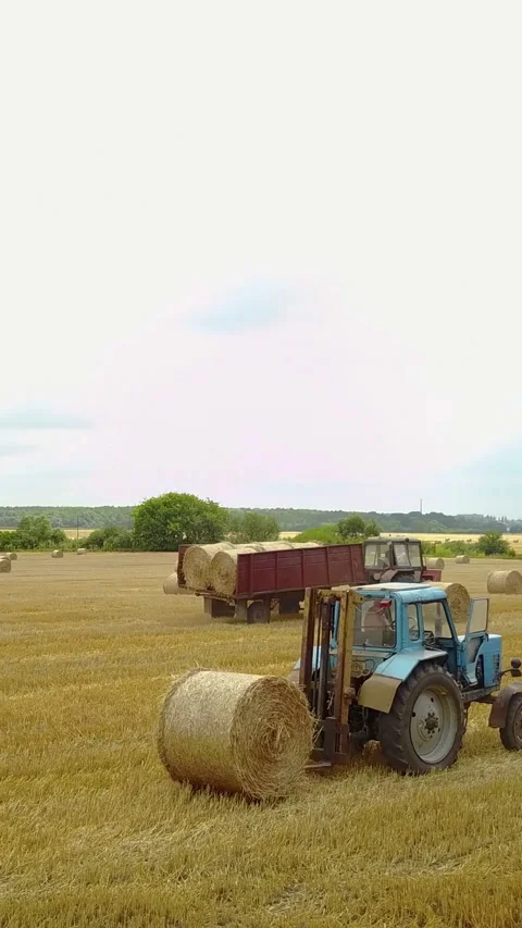 Tractor Loading Hay Bales. Vídeos de archivo 309558286