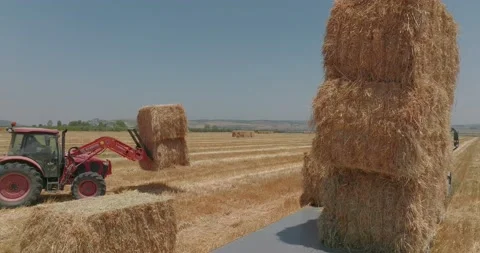 Tractor loading Hay bales onto a parked truck, Drone view. Vídeos de archivo 200924452