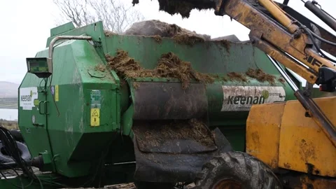 Tractor loading silage to a cattle feeder Stock Footage 164097222